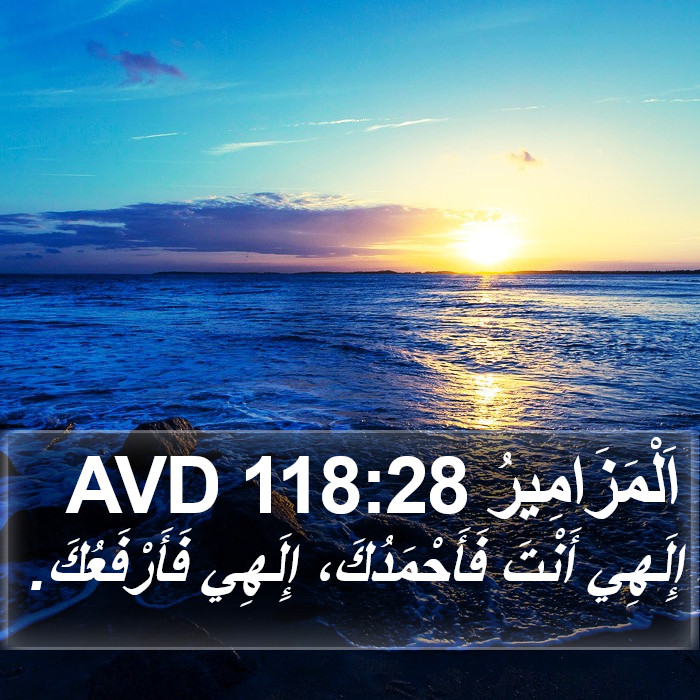 اَلْمَزَامِيرُ 118:28 AVD Bible Study