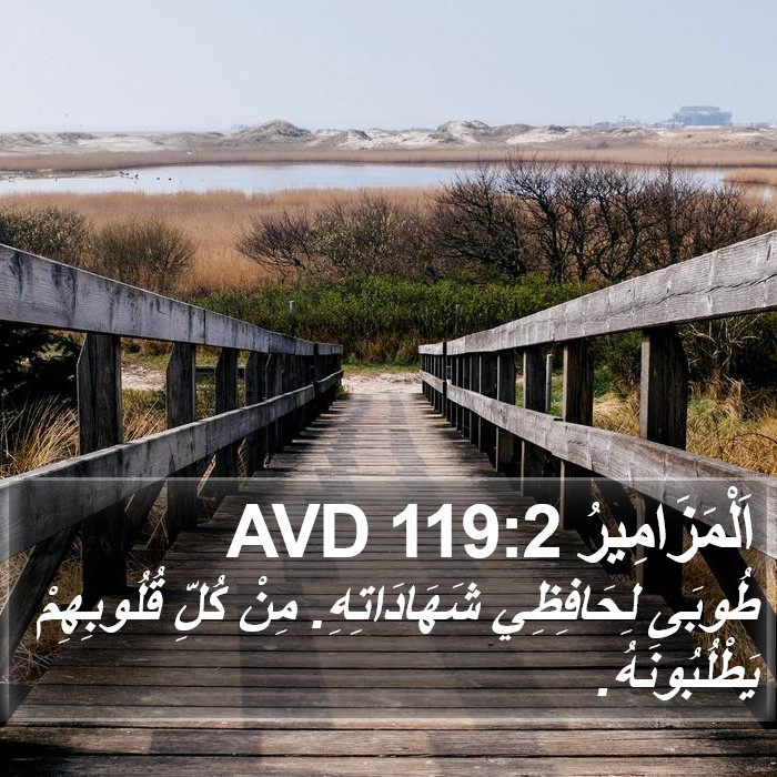 اَلْمَزَامِيرُ 119:2 AVD Bible Study