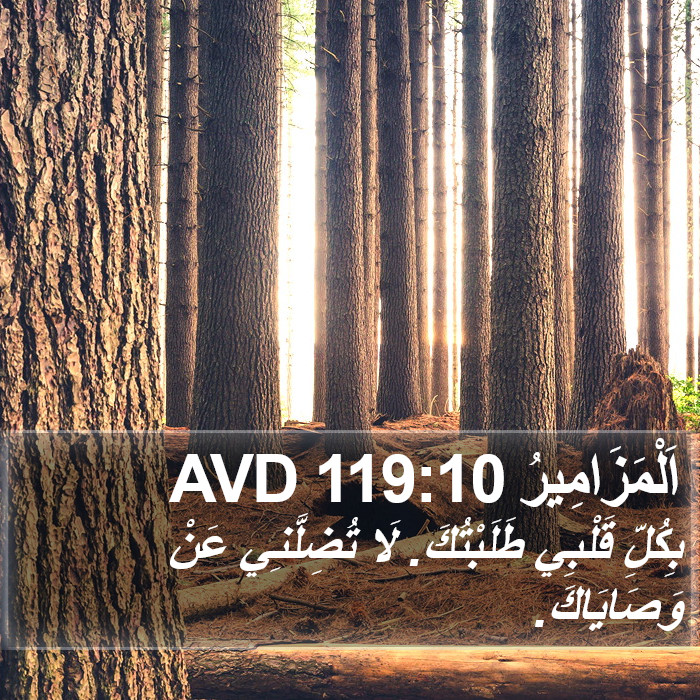 اَلْمَزَامِيرُ 119:10 AVD Bible Study