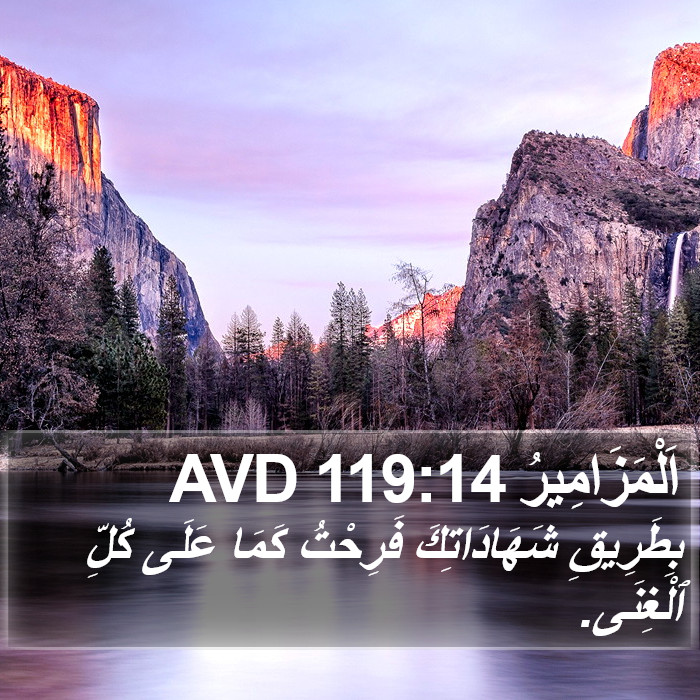 اَلْمَزَامِيرُ 119:14 AVD Bible Study