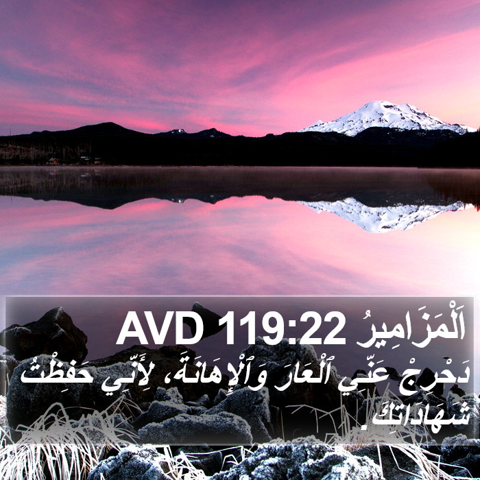 اَلْمَزَامِيرُ 119:22 AVD Bible Study