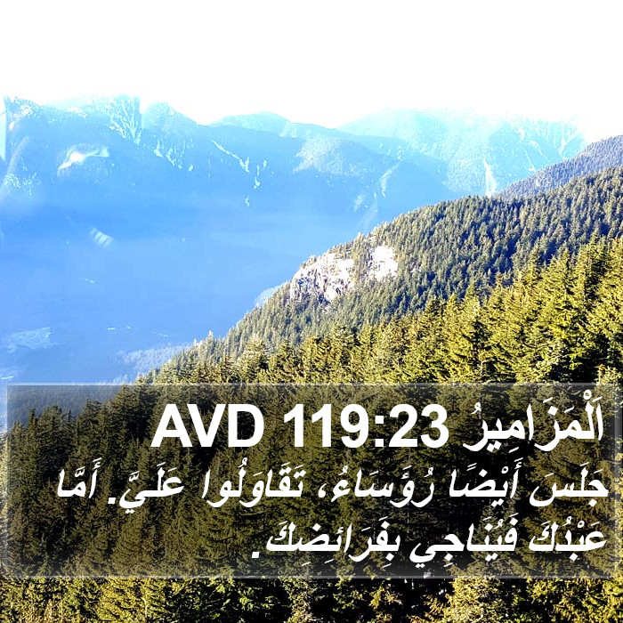 اَلْمَزَامِيرُ 119:23 AVD Bible Study