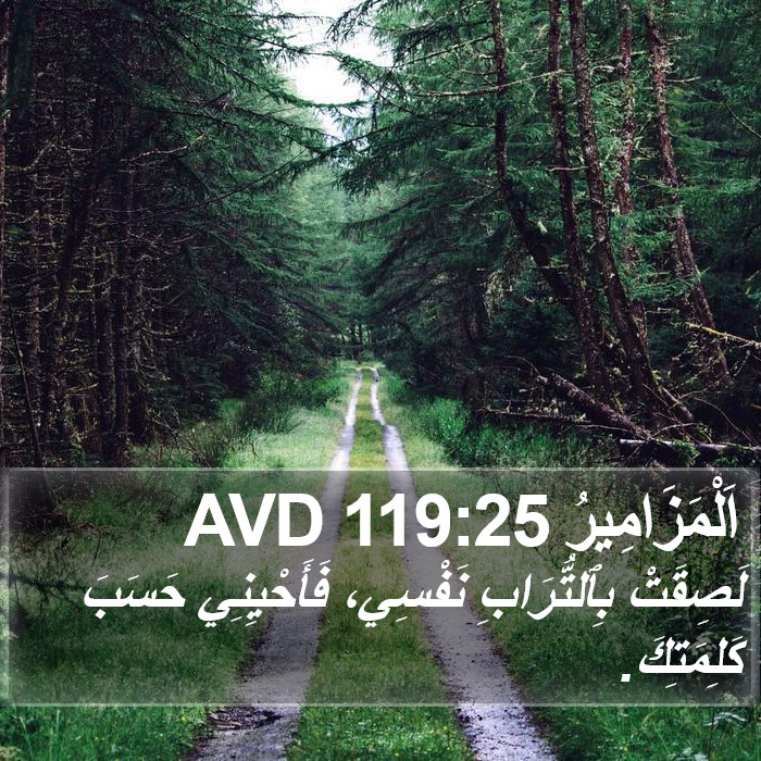 اَلْمَزَامِيرُ 119:25 AVD Bible Study