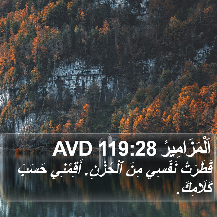 اَلْمَزَامِيرُ 119:28 AVD Bible Study