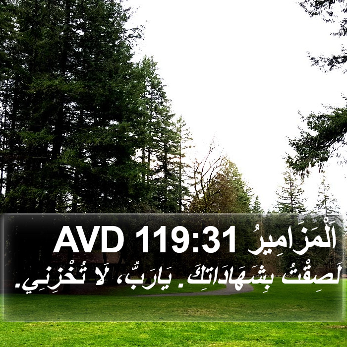 اَلْمَزَامِيرُ 119:31 AVD Bible Study