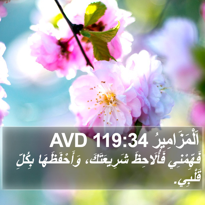 اَلْمَزَامِيرُ 119:34 AVD Bible Study