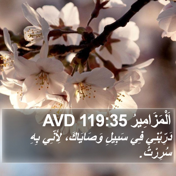 اَلْمَزَامِيرُ 119:35 AVD Bible Study