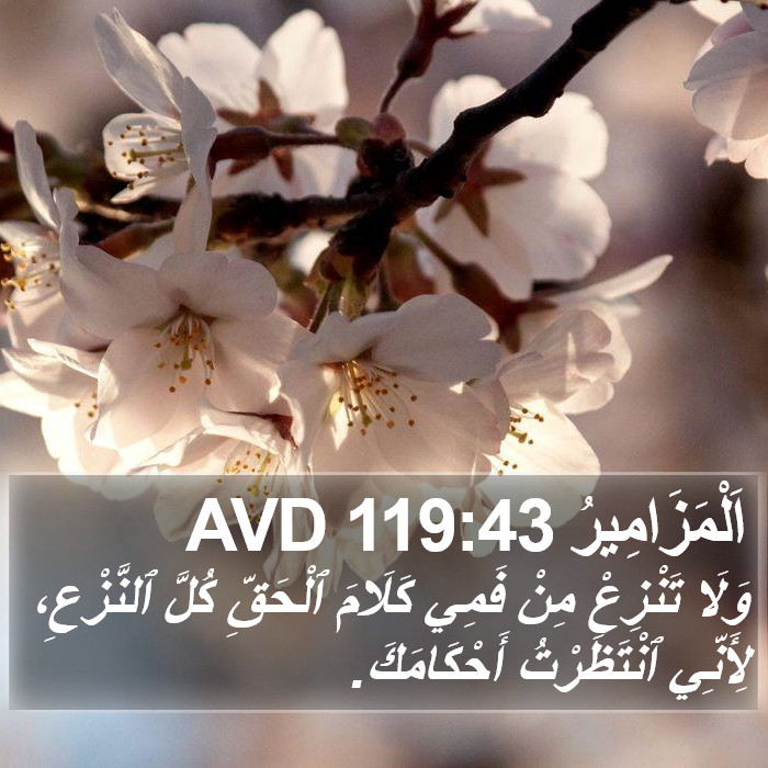 اَلْمَزَامِيرُ 119:43 AVD Bible Study