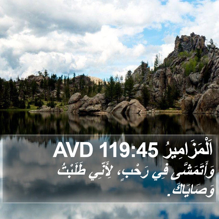 اَلْمَزَامِيرُ 119:45 AVD Bible Study