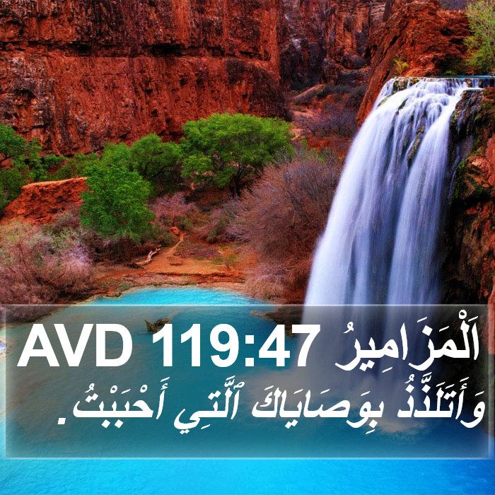 اَلْمَزَامِيرُ 119:47 AVD Bible Study