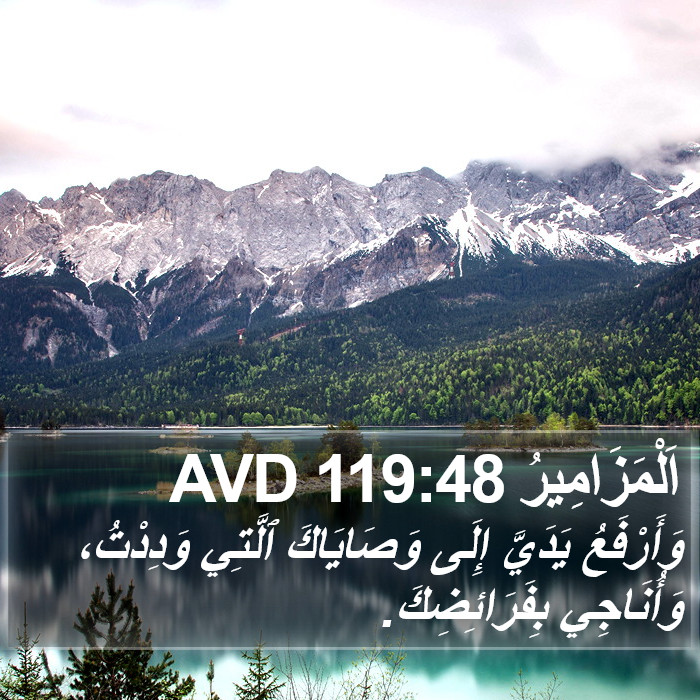 اَلْمَزَامِيرُ 119:48 AVD Bible Study