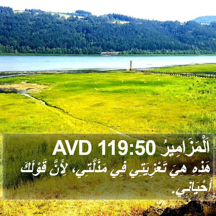 اَلْمَزَامِيرُ 119:50 AVD Bible Study