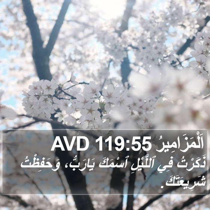 اَلْمَزَامِيرُ 119:55 AVD Bible Study