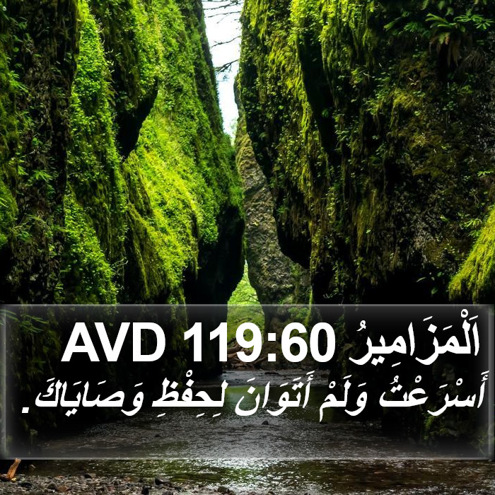 اَلْمَزَامِيرُ 119:60 AVD Bible Study