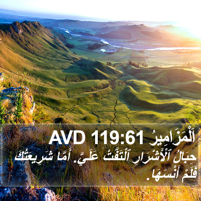 اَلْمَزَامِيرُ 119:61 AVD Bible Study