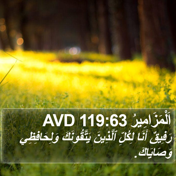 اَلْمَزَامِيرُ 119:63 AVD Bible Study