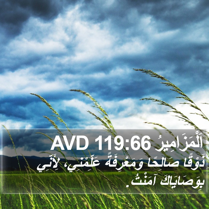 اَلْمَزَامِيرُ 119:66 AVD Bible Study