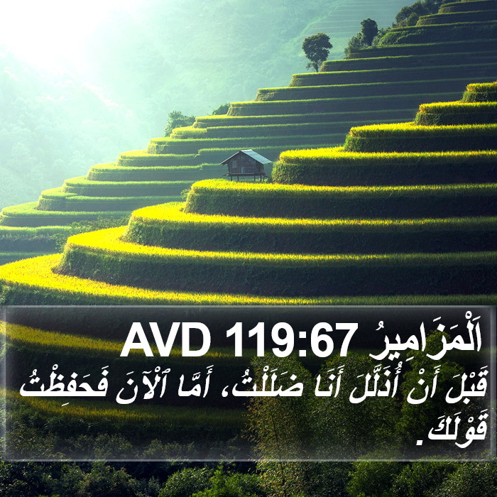 اَلْمَزَامِيرُ 119:67 AVD Bible Study