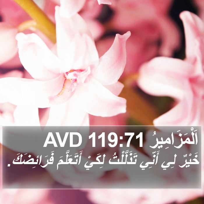 اَلْمَزَامِيرُ 119:71 AVD Bible Study