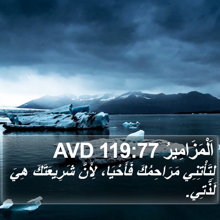 اَلْمَزَامِيرُ 119:77 AVD Bible Study