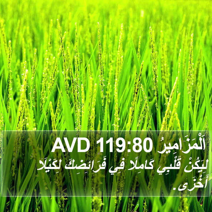 اَلْمَزَامِيرُ 119:80 AVD Bible Study