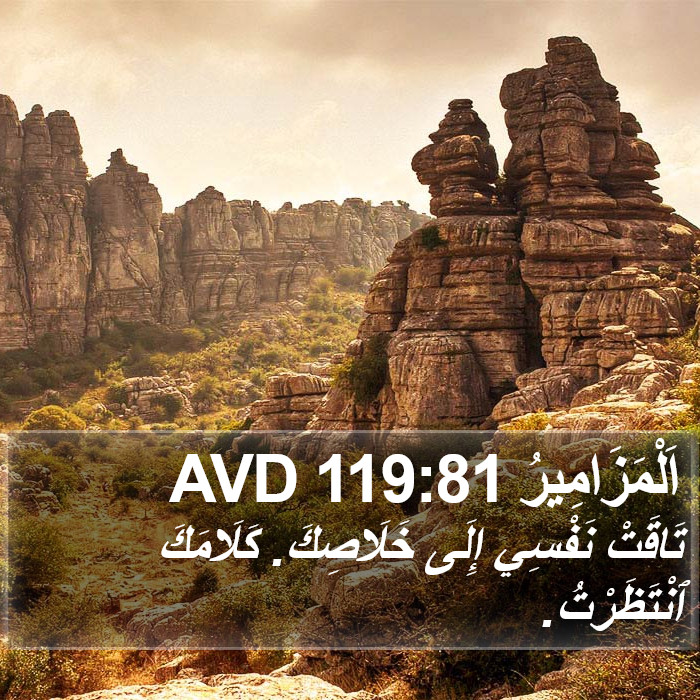 اَلْمَزَامِيرُ 119:81 AVD Bible Study