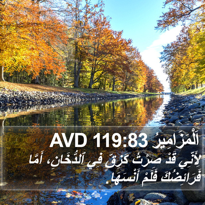 اَلْمَزَامِيرُ 119:83 AVD Bible Study