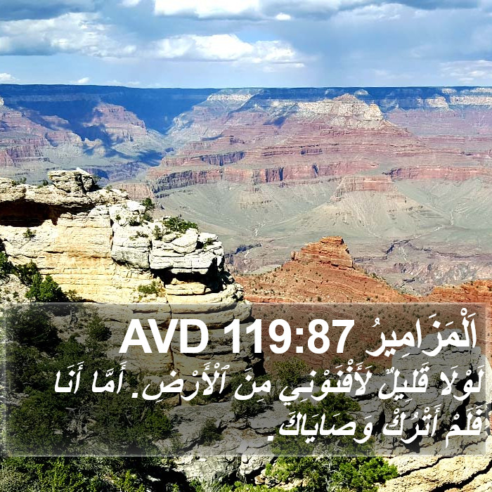 اَلْمَزَامِيرُ 119:87 AVD Bible Study