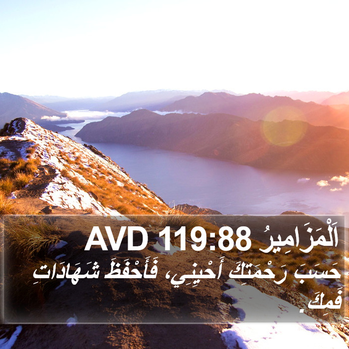 اَلْمَزَامِيرُ 119:88 AVD Bible Study