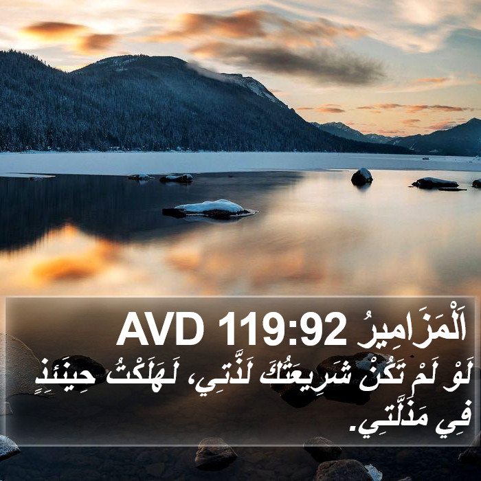 اَلْمَزَامِيرُ 119:92 AVD Bible Study