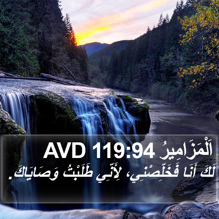 اَلْمَزَامِيرُ 119:94 AVD Bible Study