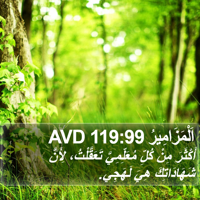 اَلْمَزَامِيرُ 119:99 AVD Bible Study