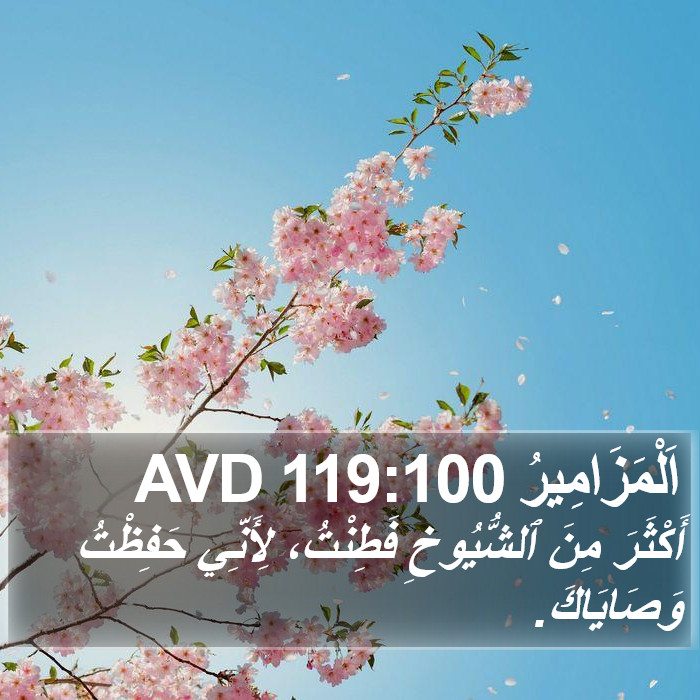 اَلْمَزَامِيرُ 119:100 AVD Bible Study