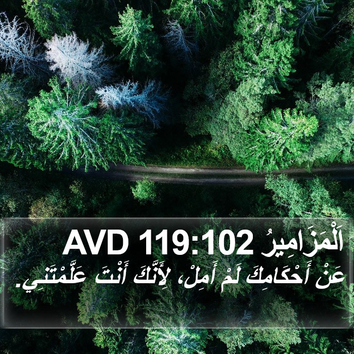 اَلْمَزَامِيرُ 119:102 AVD Bible Study