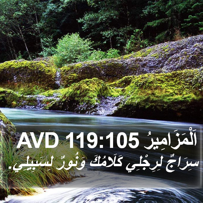 اَلْمَزَامِيرُ 119:105 AVD Bible Study