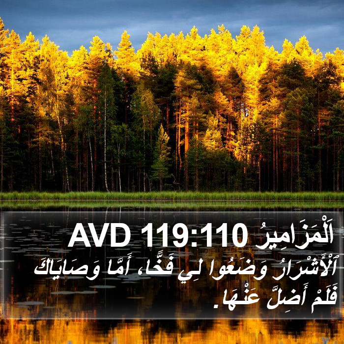 اَلْمَزَامِيرُ 119:110 AVD Bible Study