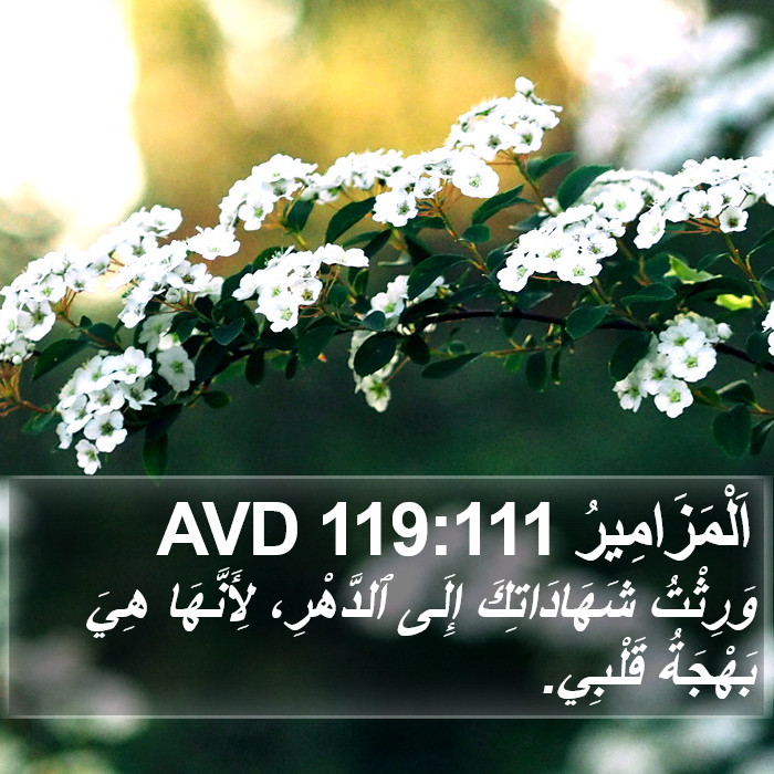 اَلْمَزَامِيرُ 119:111 AVD Bible Study