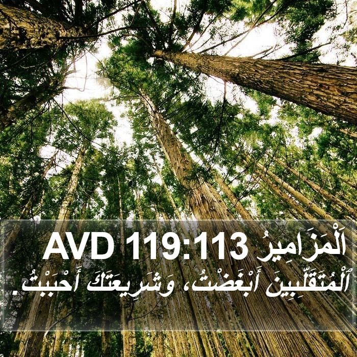 اَلْمَزَامِيرُ 119:113 AVD Bible Study