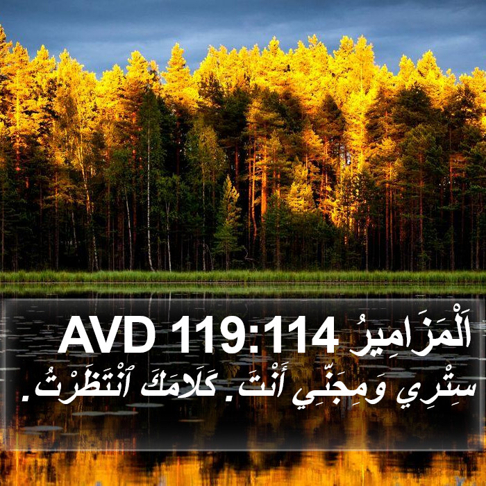 اَلْمَزَامِيرُ 119:114 AVD Bible Study