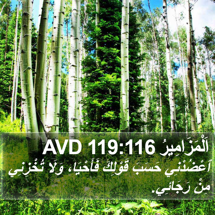 اَلْمَزَامِيرُ 119:116 AVD Bible Study