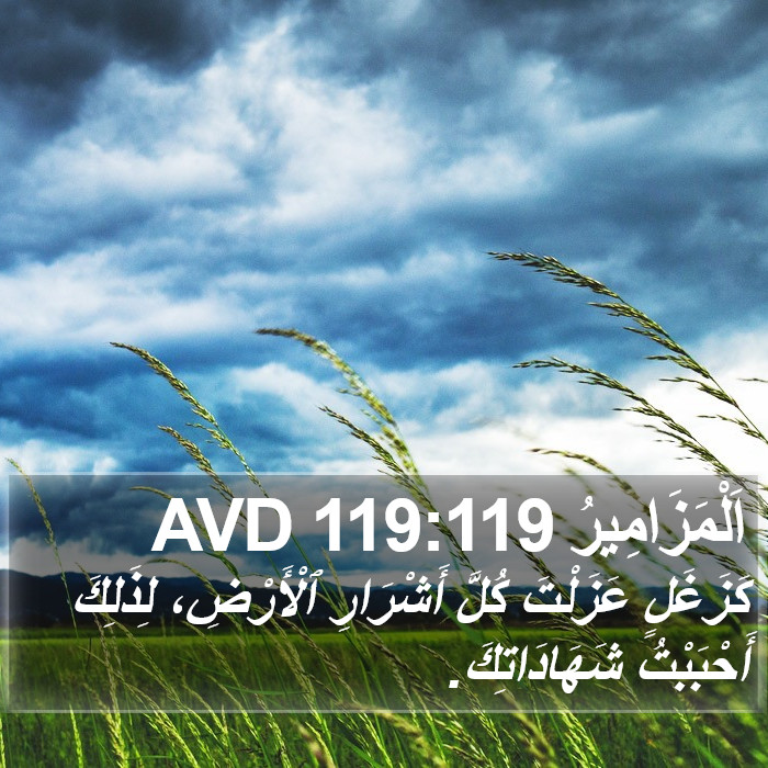 اَلْمَزَامِيرُ 119:119 AVD Bible Study