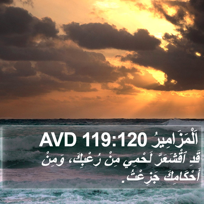 اَلْمَزَامِيرُ 119:120 AVD Bible Study