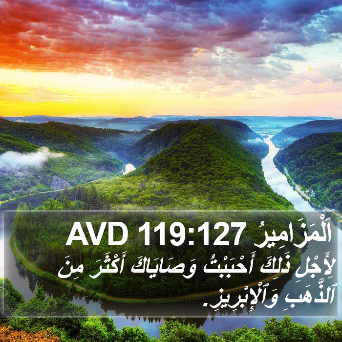 اَلْمَزَامِيرُ 119:127 AVD Bible Study