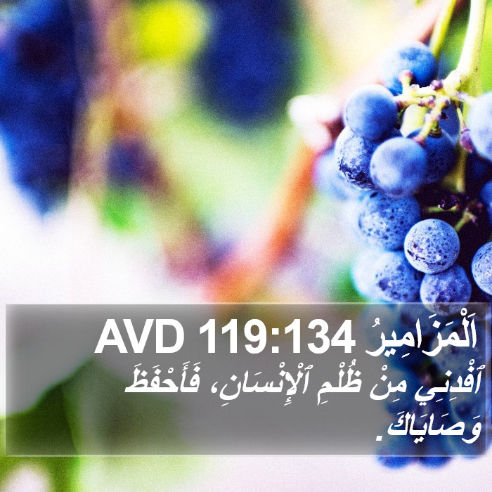 اَلْمَزَامِيرُ 119:134 AVD Bible Study