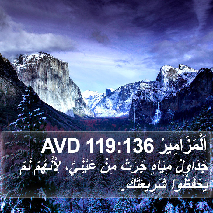 اَلْمَزَامِيرُ 119:136 AVD Bible Study