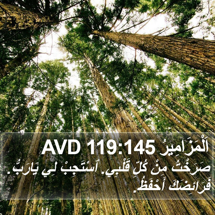 اَلْمَزَامِيرُ 119:145 AVD Bible Study