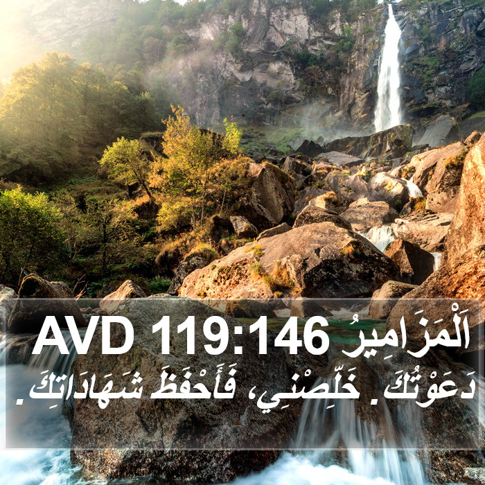 اَلْمَزَامِيرُ 119:146 AVD Bible Study