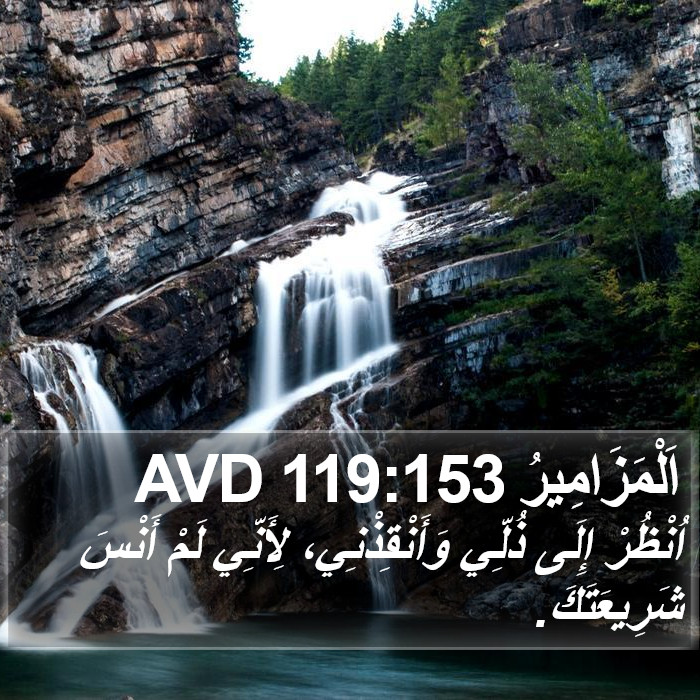 اَلْمَزَامِيرُ 119:153 AVD Bible Study