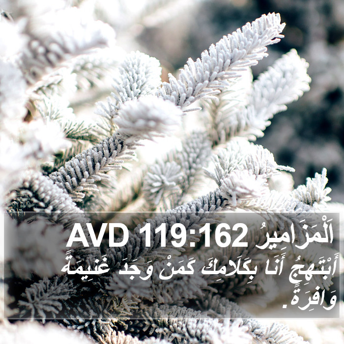 اَلْمَزَامِيرُ 119:162 AVD Bible Study