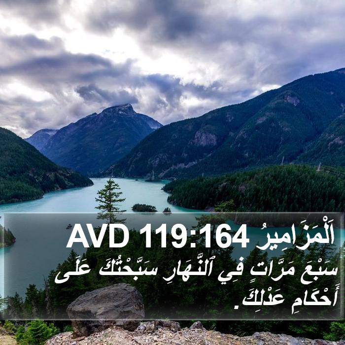 اَلْمَزَامِيرُ 119:164 AVD Bible Study